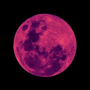 Meet your Posher, Desiree